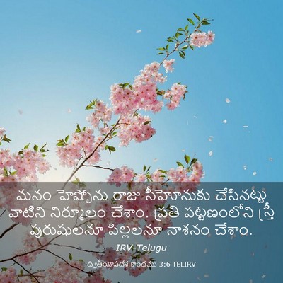 Picture 03 - ద్వితీయోపదేశ కాండము 3:6 TELIRV - మనం హెష్బోను రాజు - Bible Verse Picture