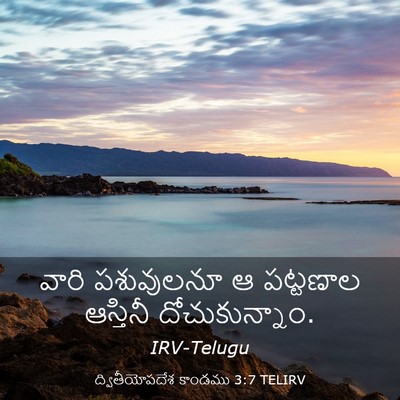 Picture 03 - ద్వితీయోపదేశ కాండము 3:7 TELIRV - వారి పశువులనూ ఆ - Bible Verse Picture