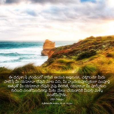 Picture 03 - ద్వితీయోపదేశ కాండము 30:10 TELIRV - ఈ ధర్మశాస్త్ర - Bible Verse Picture