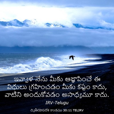 Picture 03 - ద్వితీయోపదేశ కాండము 30:11 TELIRV - ఇవ్వాళ నేను మీకు - Bible Verse Picture