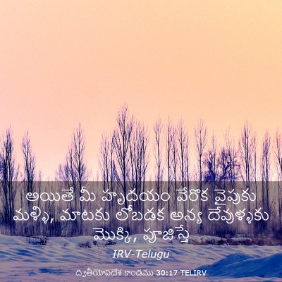 Picture 03 - ద్వితీయోపదేశ కాండము 30:17 TELIRV - అయితే మీ హృదయం - Bible Verse Picture