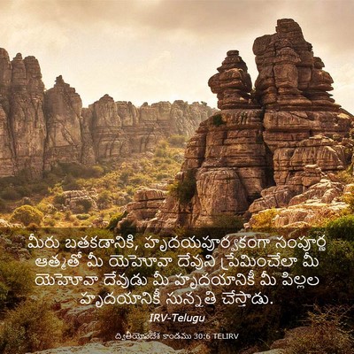 Picture 03 - ద్వితీయోపదేశ కాండము 30:6 TELIRV - మీరు బతకడానికి, - Bible Verse Picture