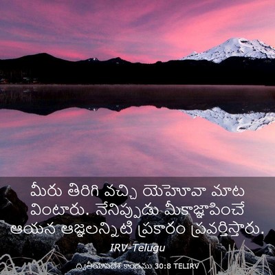 Picture 03 - ద్వితీయోపదేశ కాండము 30:8 TELIRV - మీరు తిరిగి వచ్చి - Bible Verse Picture