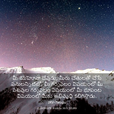 Picture 03 - ద్వితీయోపదేశ కాండము 30:9 TELIRV - మీ యెహోవా దేవుడు, - Bible Verse Picture