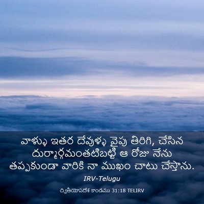 Picture 03 - ద్వితీయోపదేశ కాండము 31:18 TELIRV - వాళ్ళు ఇతర - Bible Verse Picture