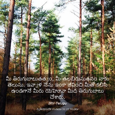 Picture 03 - ద్వితీయోపదేశ కాండము 31:27 TELIRV - మీ - Bible Verse Picture