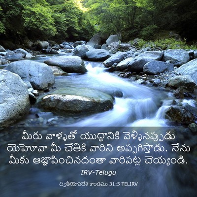 Picture 03 - ద్వితీయోపదేశ కాండము 31:5 TELIRV - మీరు వాళ్ళతో - Bible Verse Picture