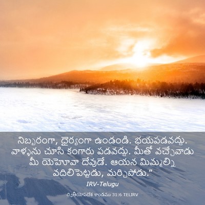 Picture 03 - ద్వితీయోపదేశ కాండము 31:6 TELIRV - నిబ్బరంగా, - Bible Verse Picture