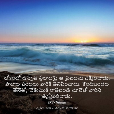 Picture 03 - ద్వితీయోపదేశ కాండము 32:13 TELIRV - లోకంలో ఉన్నత - Bible Verse Picture