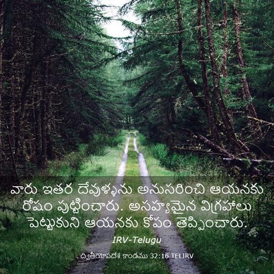 Picture 03 - ద్వితీయోపదేశ కాండము 32:16 TELIRV - వారు ఇతర - Bible Verse Picture