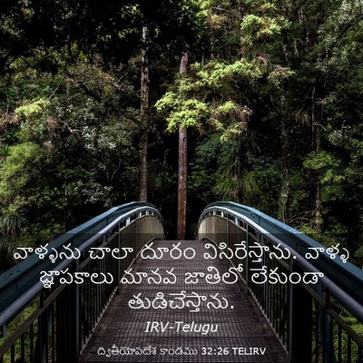 Picture 03 - ద్వితీయోపదేశ కాండము 32:26 TELIRV - వాళ్ళను చాలా దూరం - Bible Verse Picture