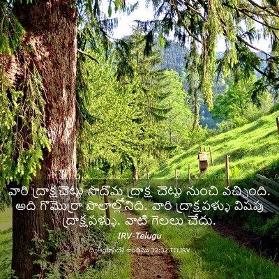 Picture 03 - ద్వితీయోపదేశ కాండము 32:32 TELIRV - వారి - Bible Verse Picture