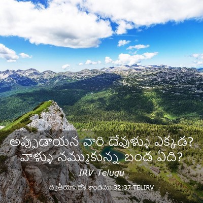 Picture 03 - ద్వితీయోపదేశ కాండము 32:37 TELIRV - అప్పుడాయన వారి - Bible Verse Picture