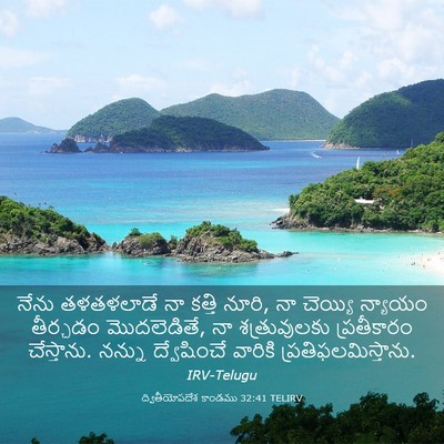 Picture 03 - ద్వితీయోపదేశ కాండము 32:41 TELIRV - నేను తళతళలాడే నా - Bible Verse Picture