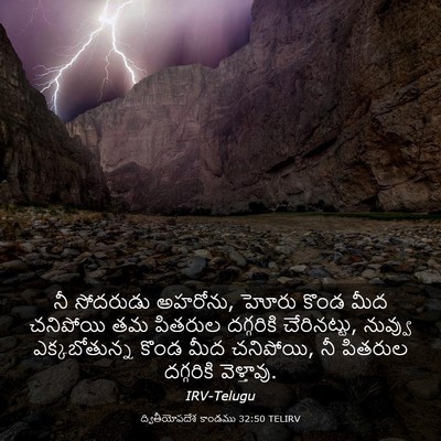Picture 03 - ద్వితీయోపదేశ కాండము 32:50 TELIRV - నీ సోదరుడు అహరోను, - Bible Verse Picture
