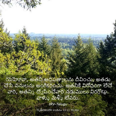 Picture 03 - ద్వితీయోపదేశ కాండము 33:11 TELIRV - యెహోవా, అతని - Bible Verse Picture