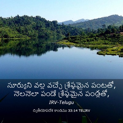 Picture 03 - ద్వితీయోపదేశ కాండము 33:14 TELIRV - సూర్యుని వల్ల - Bible Verse Picture
