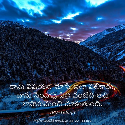 Picture 03 - ద్వితీయోపదేశ కాండము 33:22 TELIRV - దాను విషయం మోషే - Bible Verse Picture
