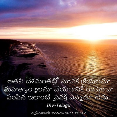 Picture 03 - ద్వితీయోపదేశ కాండము 34:11 TELIRV - అతని దేశమంతట్లో - Bible Verse Picture