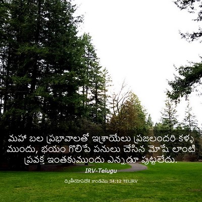 Picture 03 - ద్వితీయోపదేశ కాండము 34:12 TELIRV - మహా బల ప్రభావాలతో - Bible Verse Picture