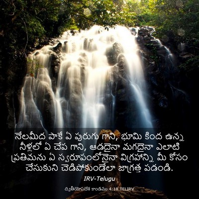 Picture 03 - ద్వితీయోపదేశ కాండము 4:18 TELIRV - నేలమీద పాకే ఏ - Bible Verse Picture