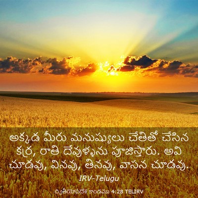 Picture 03 - ద్వితీయోపదేశ కాండము 4:28 TELIRV - అక్కడ మీరు - Bible Verse Picture