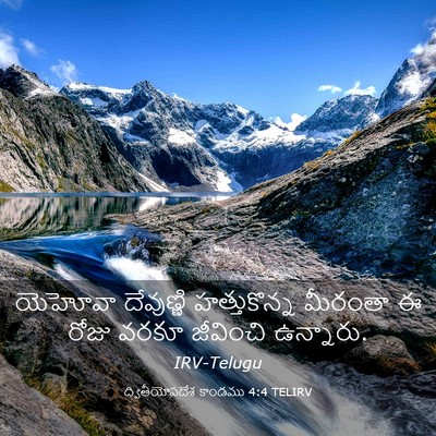 Picture 03 - ద్వితీయోపదేశ కాండము 4:4 TELIRV - యెహోవా దేవుణ్ణి - Bible Verse Picture