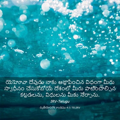 Picture 03 - ద్వితీయోపదేశ కాండము 4:5 TELIRV - యెహోవా దేవుడు - Bible Verse Picture