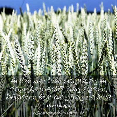 Picture 03 - ద్వితీయోపదేశ కాండము 4:8 TELIRV - ఈ రోజు నేను మీకు - Bible Verse Picture