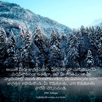 Picture 03 - ద్వితీయోపదేశ కాండము 4:9 TELIRV - అయితే మీరు - Bible Verse Picture