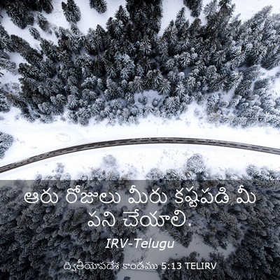 Picture 03 - ద్వితీయోపదేశ కాండము 5:13 TELIRV - ఆరు రోజులు మీరు - Bible Verse Picture