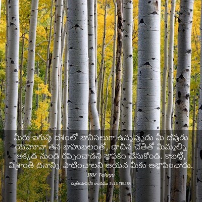 Picture 03 - ద్వితీయోపదేశ కాండము 5:15 TELIRV - మీరు ఐగుప్తు - Bible Verse Picture