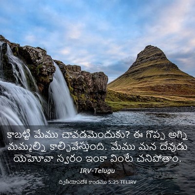 Picture 03 - ద్వితీయోపదేశ కాండము 5:25 TELIRV - కాబట్టి మేము - Bible Verse Picture