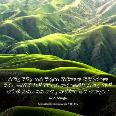 Picture 03 - ద్వితీయోపదేశ కాండము 5:27 TELIRV - నువ్వే వెళ్ళి మన - Bible Verse Picture