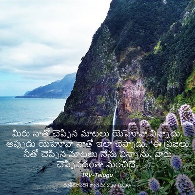 Picture 03 - ద్వితీయోపదేశ కాండము 5:28 TELIRV - మీరు నాతో చెప్పిన - Bible Verse Picture