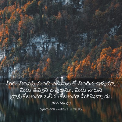 Picture 03 - ద్వితీయోపదేశ కాండము 6:11 TELIRV - మీరు నింపని మంచి - Bible Verse Picture