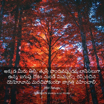Picture 03 - ద్వితీయోపదేశ కాండము 6:12 TELIRV - అక్కడ మీరు తిని, - Bible Verse Picture