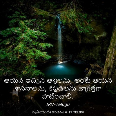 Picture 03 - ద్వితీయోపదేశ కాండము 6:17 TELIRV - ఆయన ఇచ్చిన - Bible Verse Picture