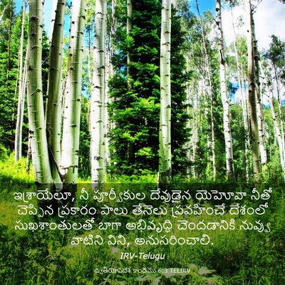 Picture 03 - ద్వితీయోపదేశ కాండము 6:3 TELIRV - ఇశ్రాయేలూ, నీ - Bible Verse Picture