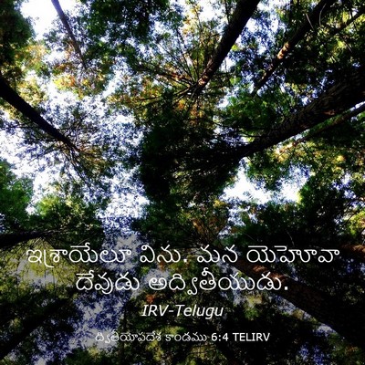 Picture 03 - ద్వితీయోపదేశ కాండము 6:4 TELIRV - ఇశ్రాయేలూ విను. మన - Bible Verse Picture