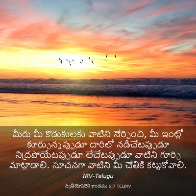 Picture 03 - ద్వితీయోపదేశ కాండము 6:7 TELIRV - మీరు మీ కొడుకులకు - Bible Verse Picture