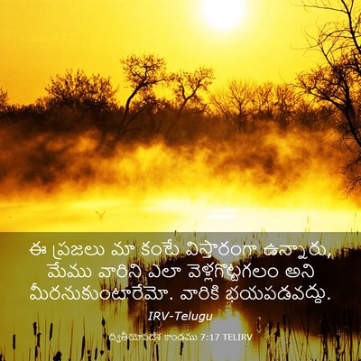 Picture 03 - ద్వితీయోపదేశ కాండము 7:17 TELIRV - ఈ ప్రజలు మా కంటే - Bible Verse Picture