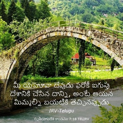 Picture 03 - ద్వితీయోపదేశ కాండము 7:18 TELIRV - మీ యెహోవా దేవుడు - Bible Verse Picture