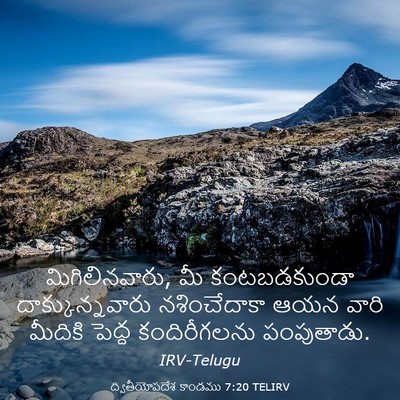Picture 03 - ద్వితీయోపదేశ కాండము 7:20 TELIRV - మిగిలినవారు, మీ - Bible Verse Picture