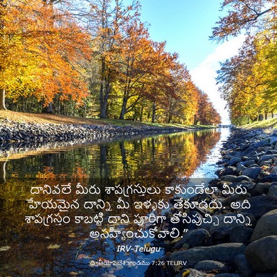 Picture 03 - ద్వితీయోపదేశ కాండము 7:26 TELIRV - దానివలే మీరు - Bible Verse Picture