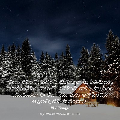 Picture 03 - ద్వితీయోపదేశ కాండము 8:1 TELIRV - “మీరు జీవించి, - Bible Verse Picture