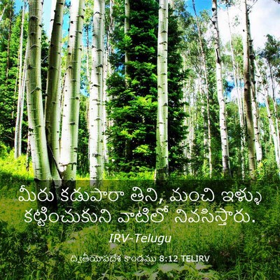 Picture 03 - ద్వితీయోపదేశ కాండము 8:12 TELIRV - మీరు కడుపారా తిని, - Bible Verse Picture