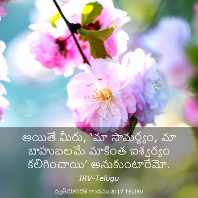 Picture 03 - ద్వితీయోపదేశ కాండము 8:17 TELIRV - అయితే మీరు, ‘మా - Bible Verse Picture