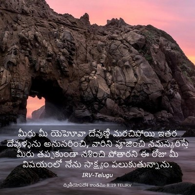 Picture 03 - ద్వితీయోపదేశ కాండము 8:19 TELIRV - మీరు మీ యెహోవా - Bible Verse Picture