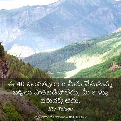 Picture 03 - ద్వితీయోపదేశ కాండము 8:4 TELIRV - ఈ 40 సంవత్సరాలు - Bible Verse Picture